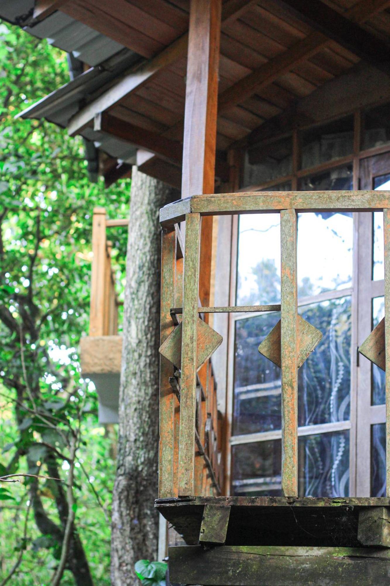 Seasons Four Eco Friendly Treehouse Pension Matara Buitenkant foto