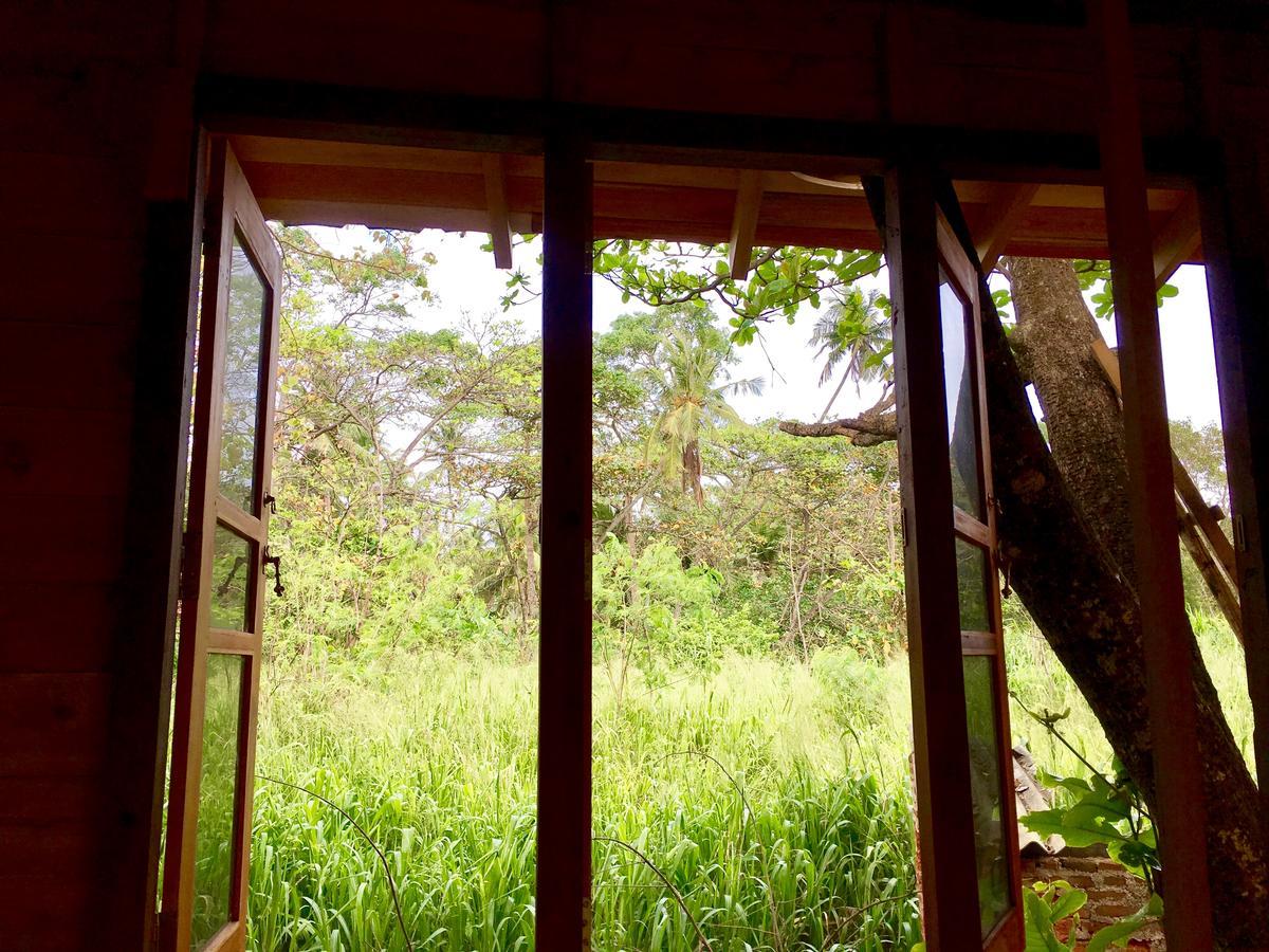 Seasons Four Eco Friendly Treehouse Pension Matara Buitenkant foto